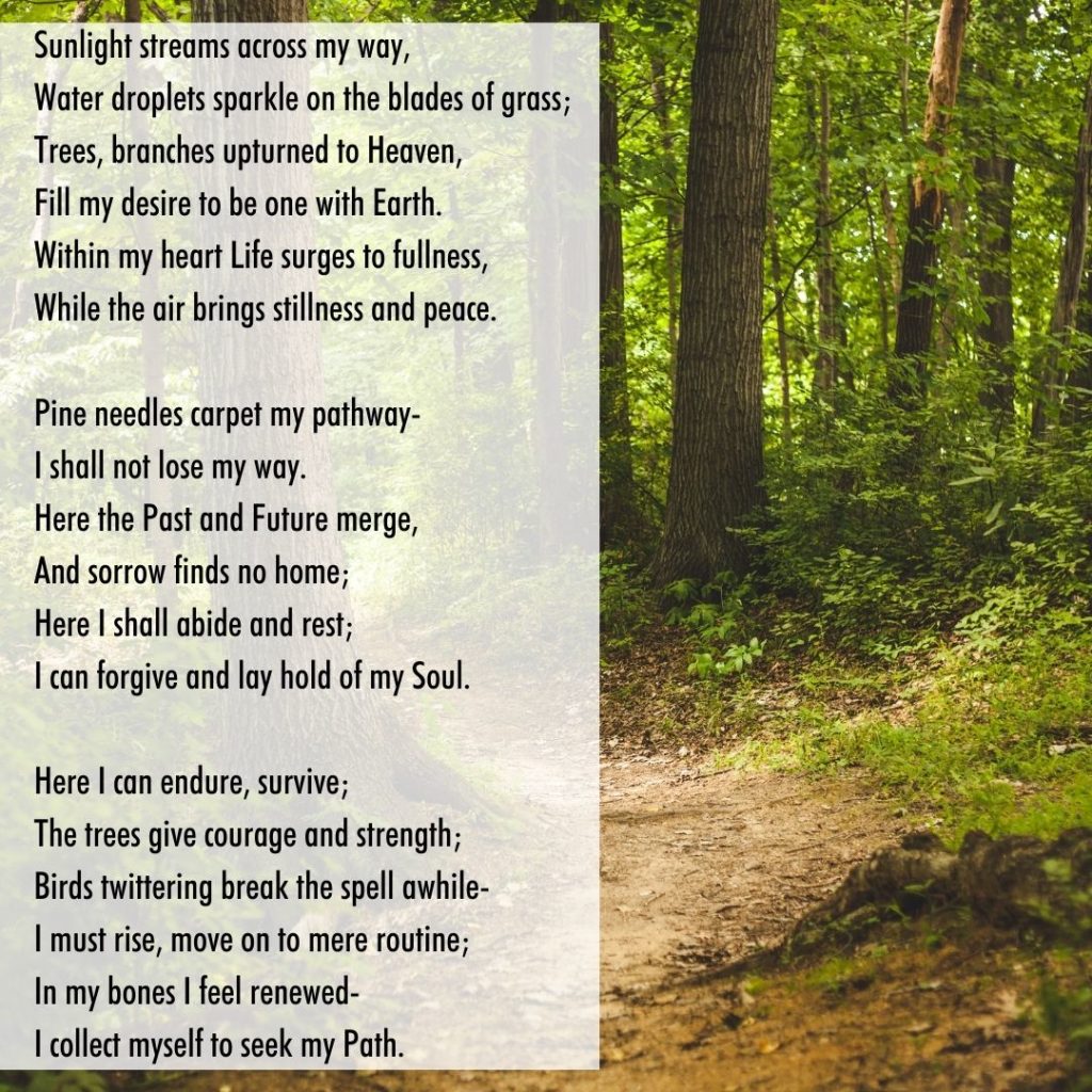 2022 Palmetto Trail Poetry Contest – Palmetto Conservation Foundation